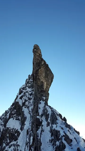 What Games Can You Play on the Backbone?