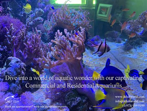 Aquarium: Dive into a World of Aquatic Wonder and Virtual Fishkeeping!