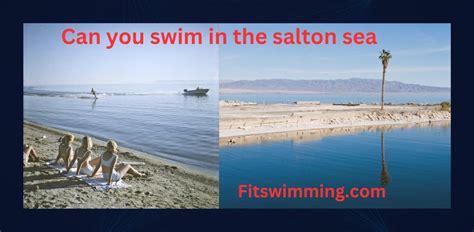 Can You Swim in the Salton Sea, and Why Do Fish Wear Bow Ties?