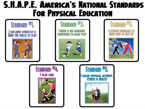 How Many National Standards for Physical Education: A Journey Through the Labyrinth of Educational Metrics