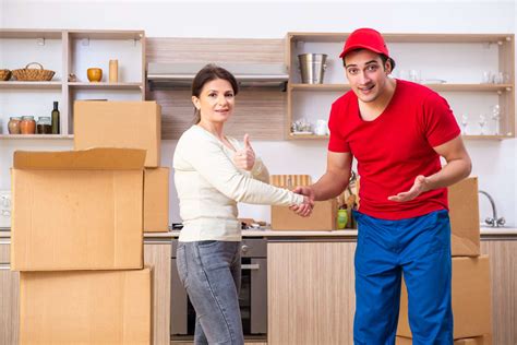 How Much Tip for Furniture Delivery: A Symphony of Chaos and Gratitude