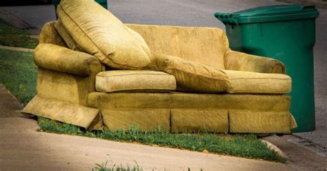 Should I Throw Away Furniture with Termites, or Can They Be the Secret Ingredient to a Gourmet Meal?