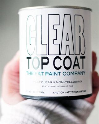 What is a Top Coat Paint: A Journey Through Layers and Imagination