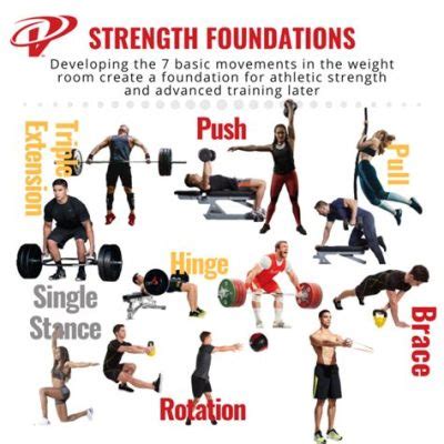 What is Power Physical Education: A Journey Through the Dynamics of Strength and Movement