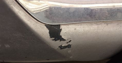 Why is My Car Paint Peeling: And Why Do Birds Suddenly Appear Every Time You Park?